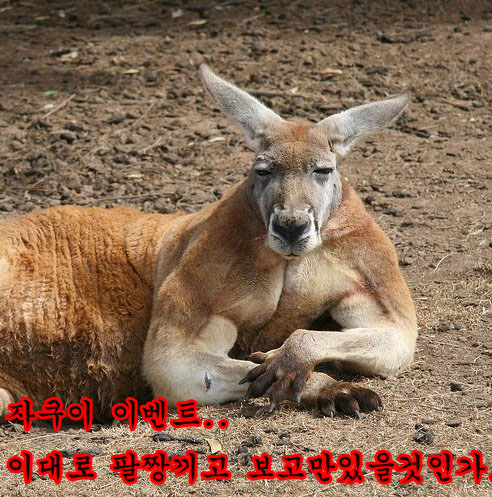 kang.jpg