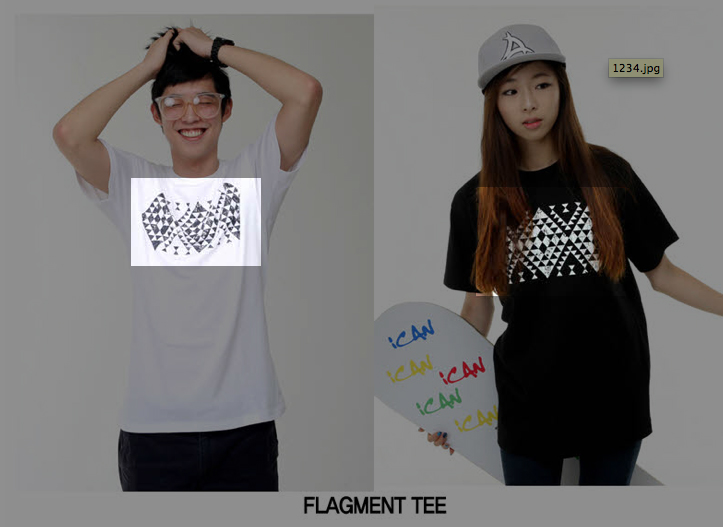 flagment_tee.jpg
