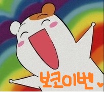보코.jpg