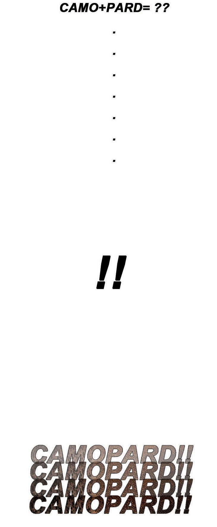 bs1.jpg