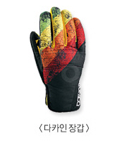 포맷변환_dicain.jpg