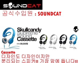 스컬1-vert.jpg