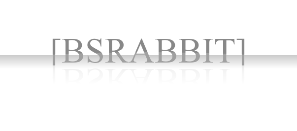 BSRABBIT.png