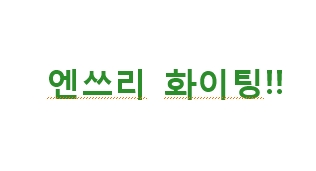 엔쓰리.jpg