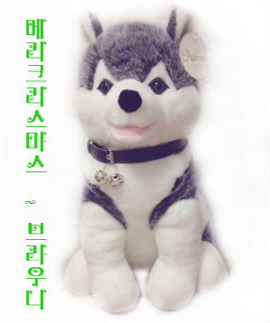 브라우니3.jpg