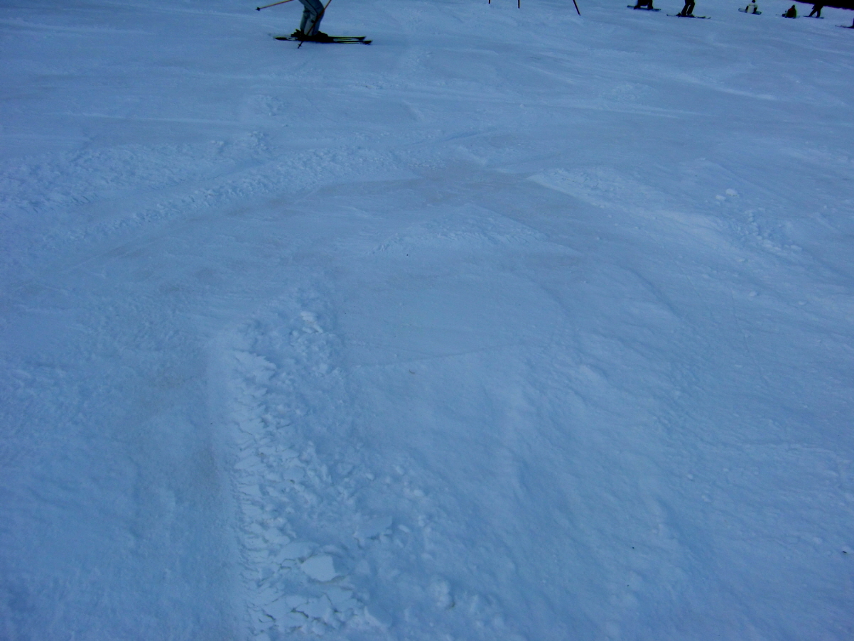 CIMG0056.JPG
