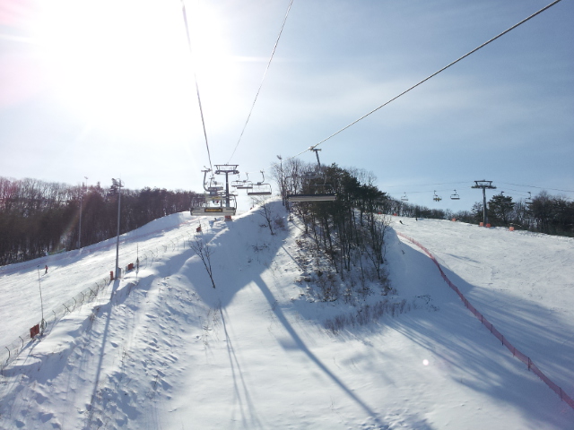 20120128_123807.jpg