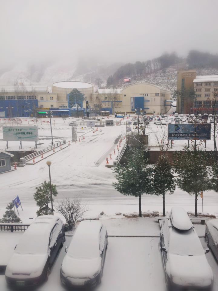 snow falling in phoenixpark.jpg