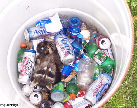 trashcan1412.jpg