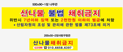 산나물 채취 금지.jpg