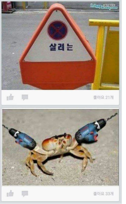 22222.jpg