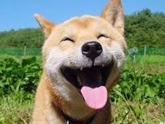 나야나.jpg