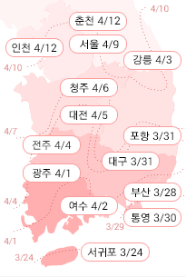 pc_개화시기_03_벚꽃2015.png