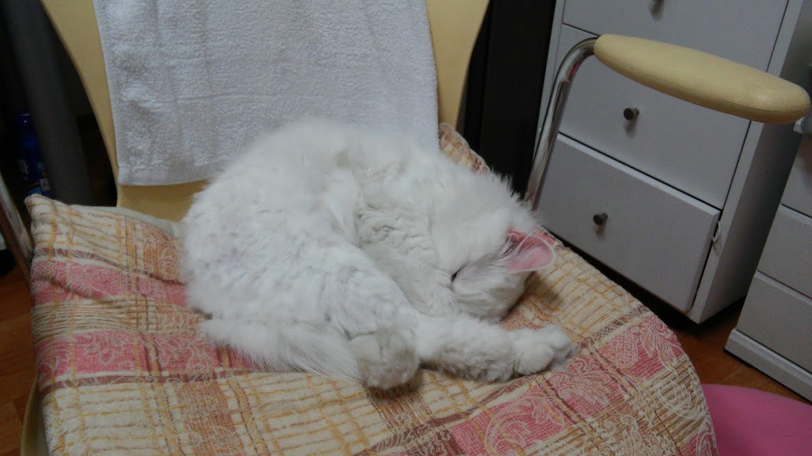 20150531_163322.jpg