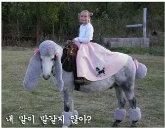 내말이 말같지 않아.png