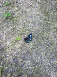 20130729_131759.jpg