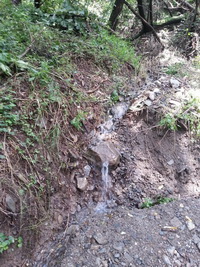 20130729_130611.jpg