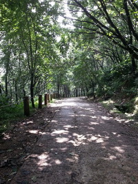 20130729_125848.jpg