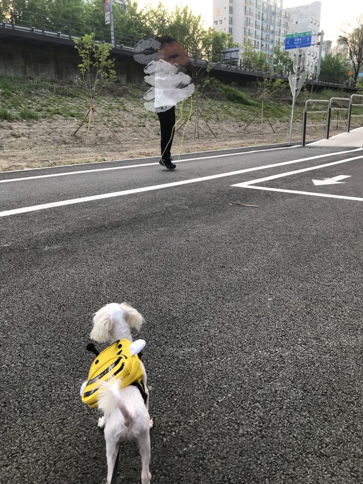 KakaoTalk_20180430_150023892.jpg