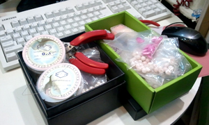 2011-03-28-20.47.24.jpg