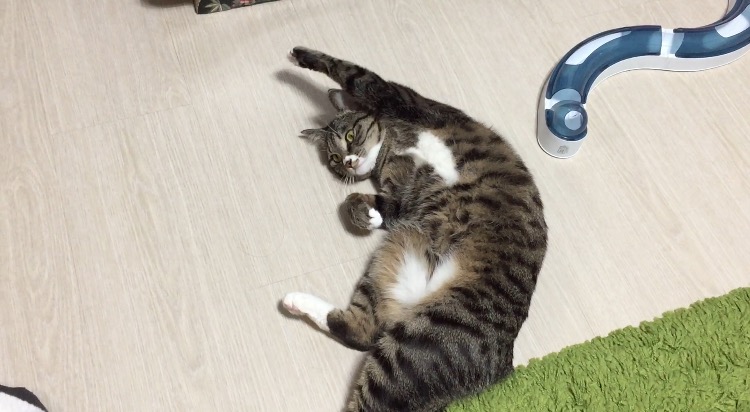 KakaoTalk_20170201_181032269.jpg