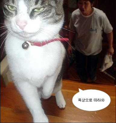 20130826_113810.png