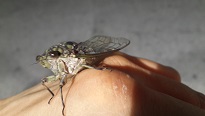 20130801_204657.jpg