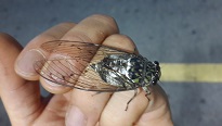 20130801_204530.jpg