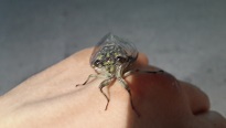 20130801_204626.jpg