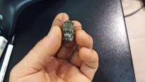 20130801_204445.jpg