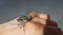 20130801_204634.jpg