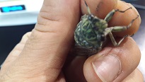 20130801_204506.jpg