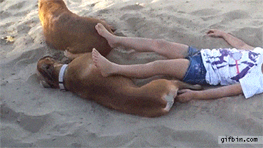 귀찮게 하지 말라니까.gif
