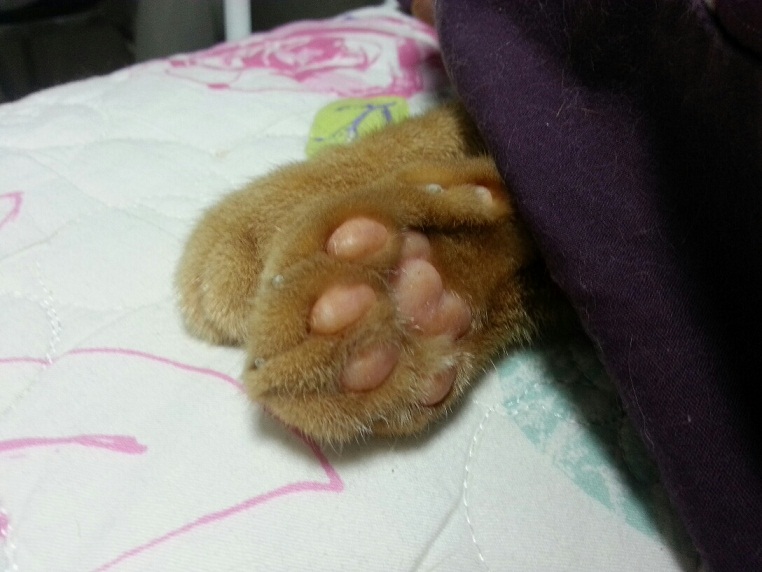 20130213_074326_resized.jpg
