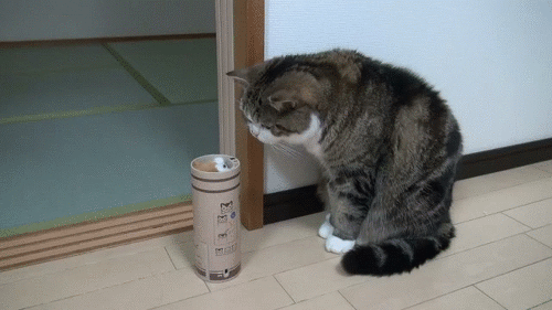 반박자 느림...gif