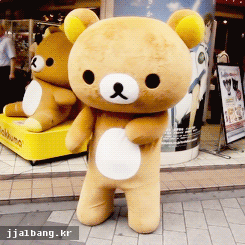 vxreo8d9g.gif
