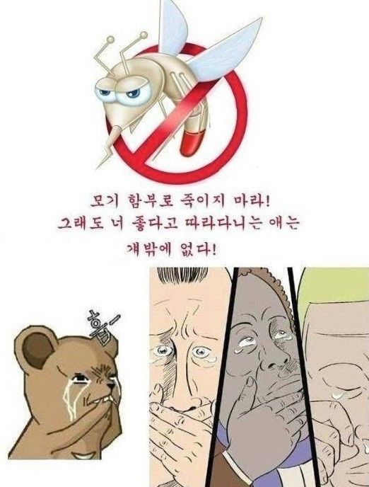 149983190822333.jpg