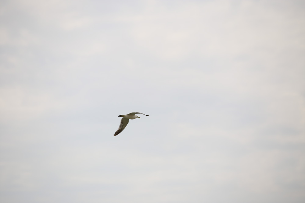 IMG_4140.jpg