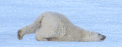 pikicast-19083131.gif