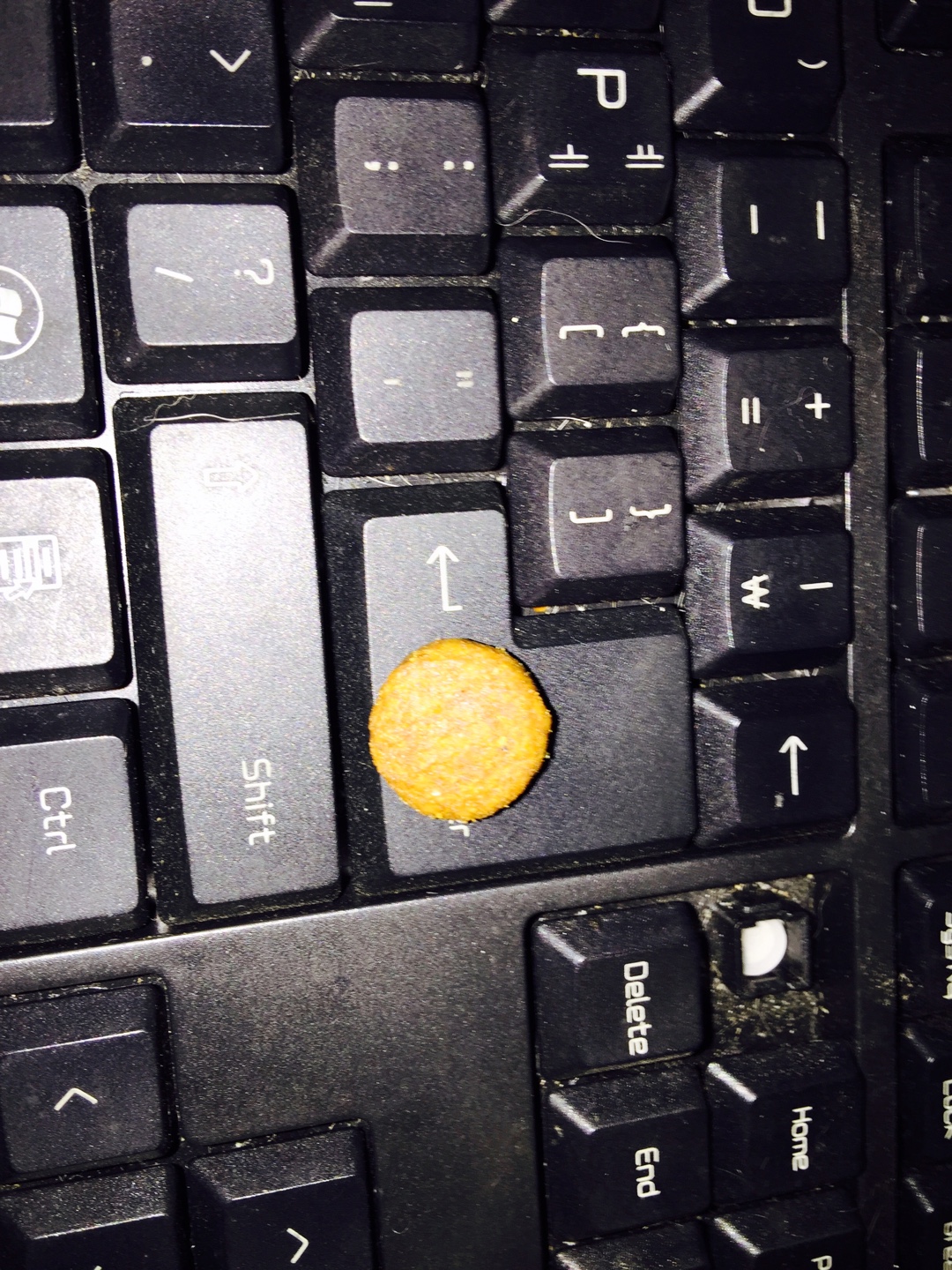KakaoTalk_20150905_202011233.jpg