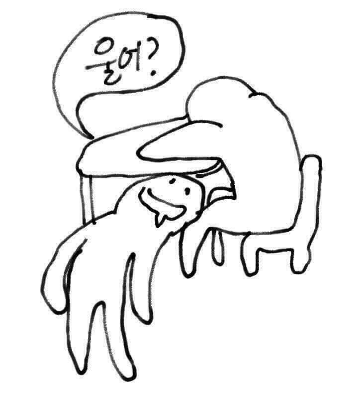 zzz.jpg