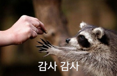 daum_gallery_photo_20141010001042.png