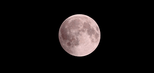 1517439587659.gif