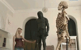 315ba63c983285e3d16d9e9b01b129c2.gif