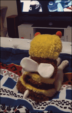 750acf411e6c5fc395f1f58432a38fdd.gif