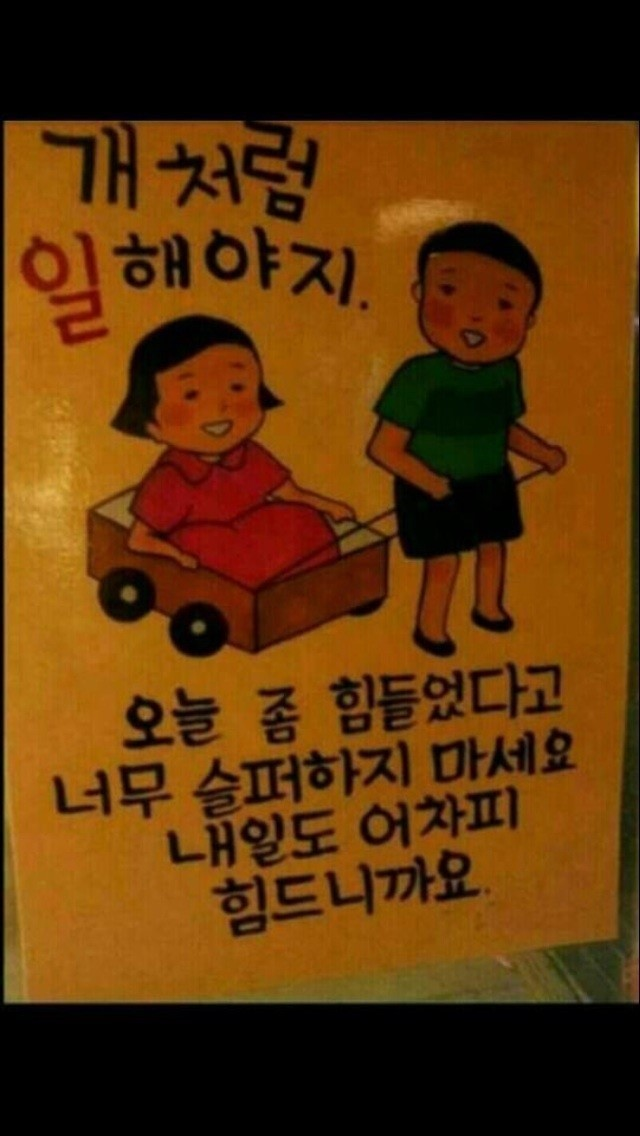 00801.png