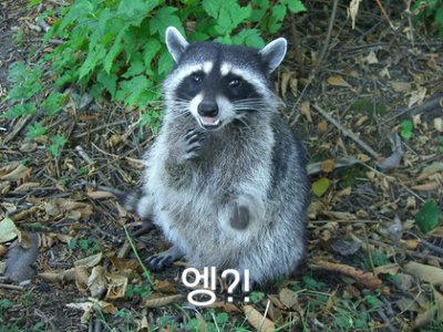 daum_gallery_photo_20141010001039.png