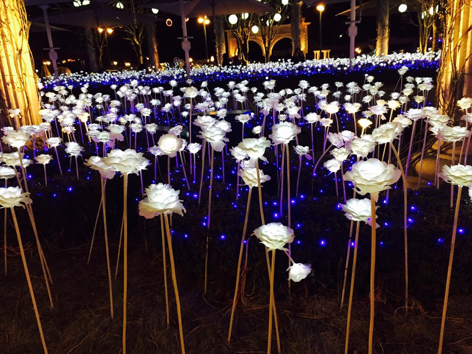 KakaoTalk_20160328_121254647.jpg