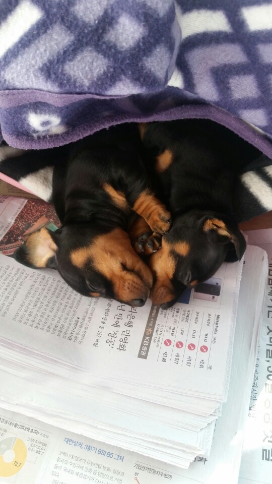 KakaoTalk_20161118_132844101.jpg