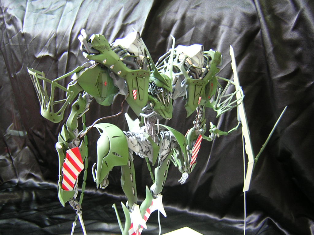 DSCN1545.JPG